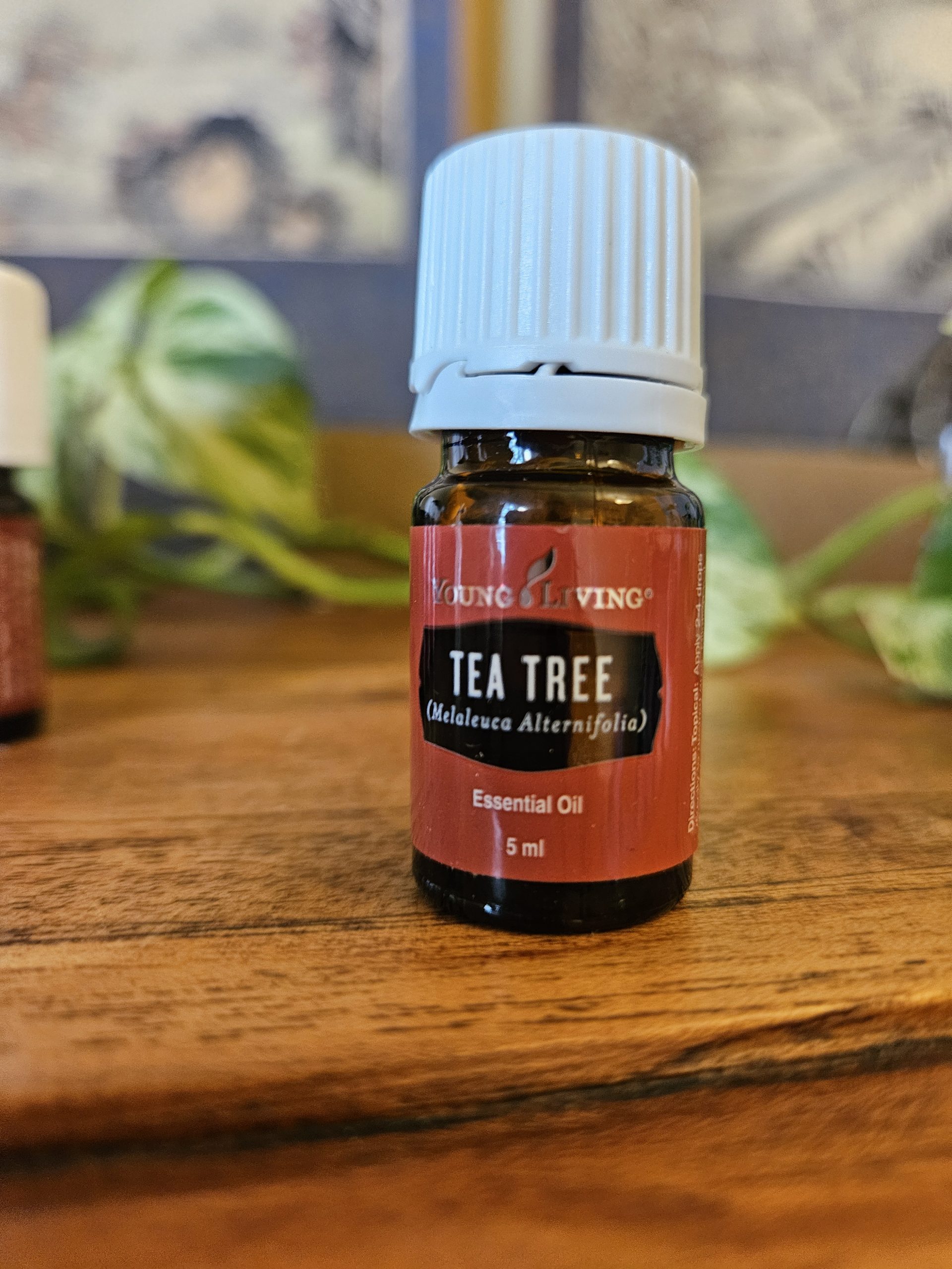 Young Living Tea Tree oil 5ml